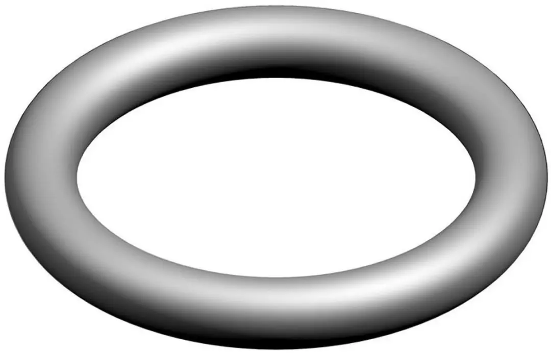 Bosch O-ring 10x