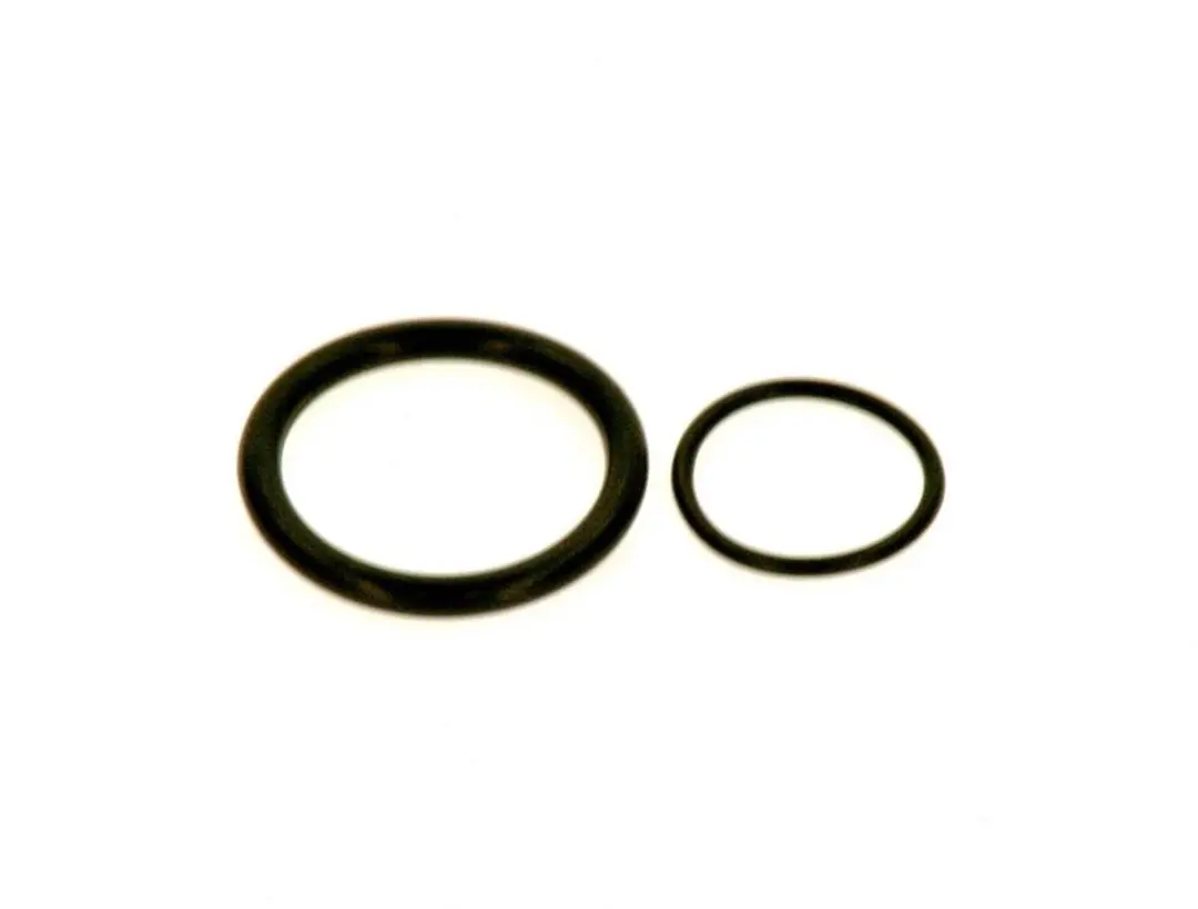 Bosch O-ring set 7098915