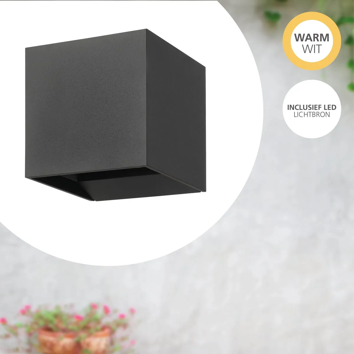 Eglo Calpino 3 Wandlamp LED 2x - Antraciet