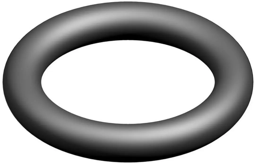 Bosch O-ring 10x