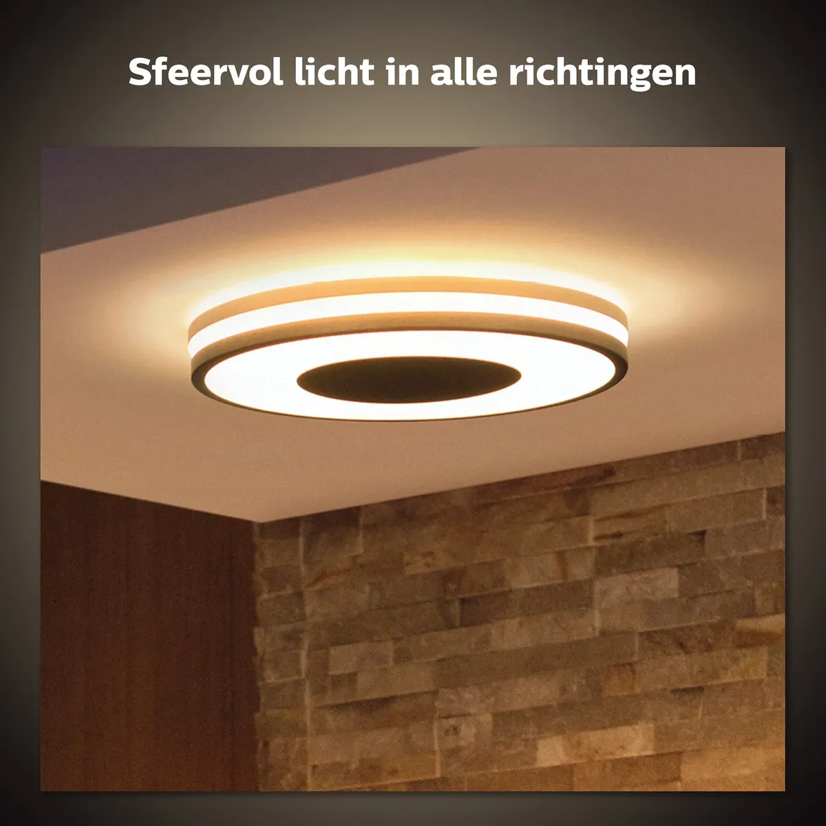 Philips Hue Being Plafondlamp - 2 Lichtpunten - Zwart