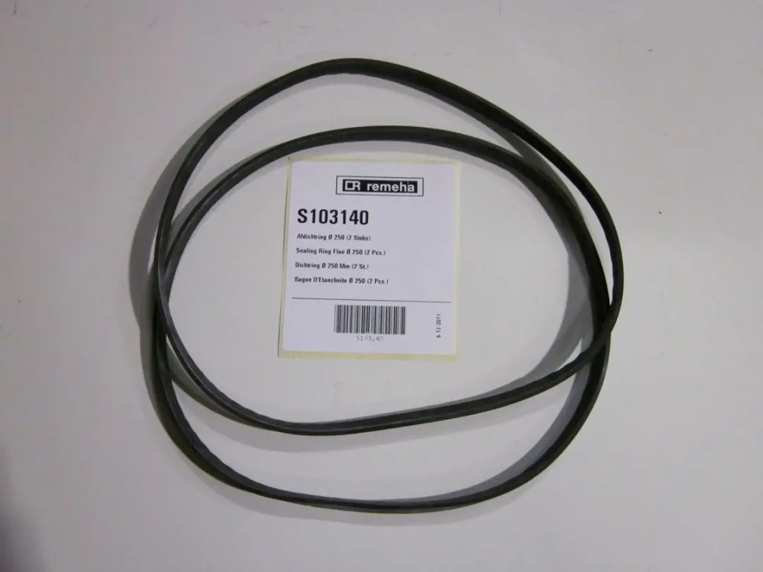 Remeha Dichtring D250mm