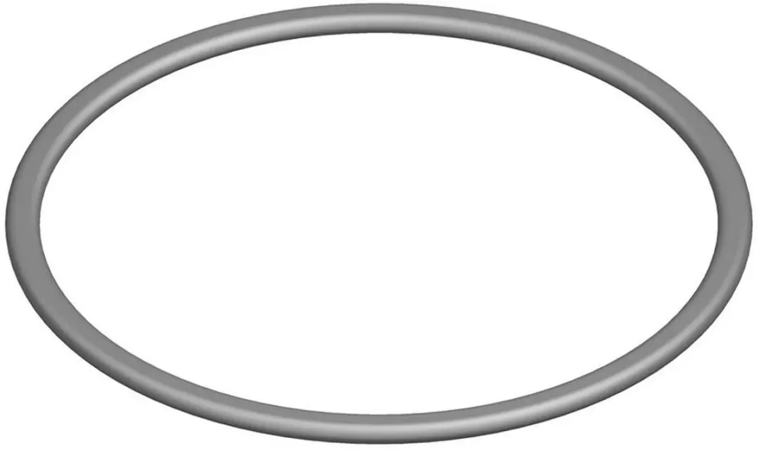 Bosch O-ring 10x