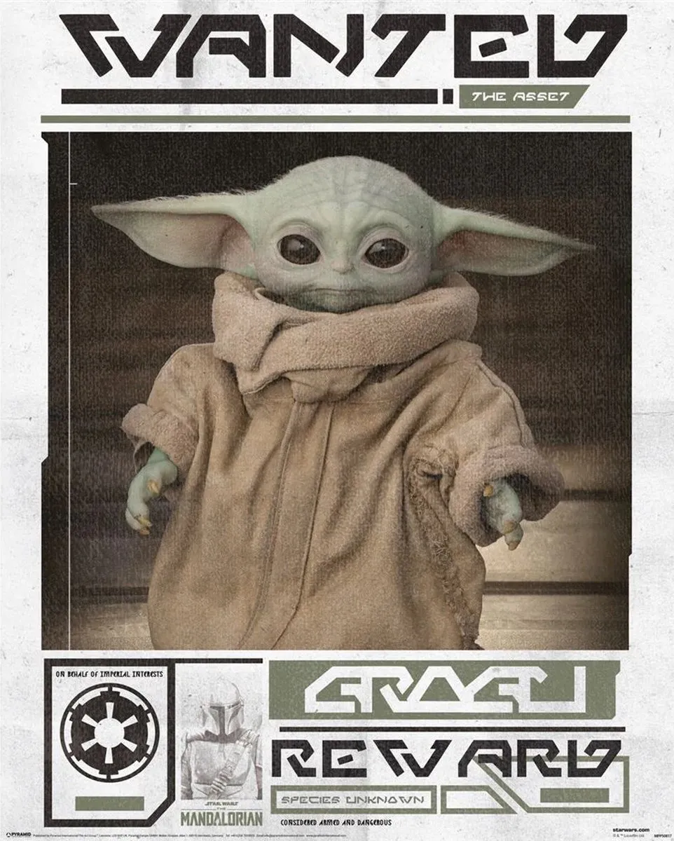 Star Wars The Mandalorian Grogu Wanted Poster 40x50cm