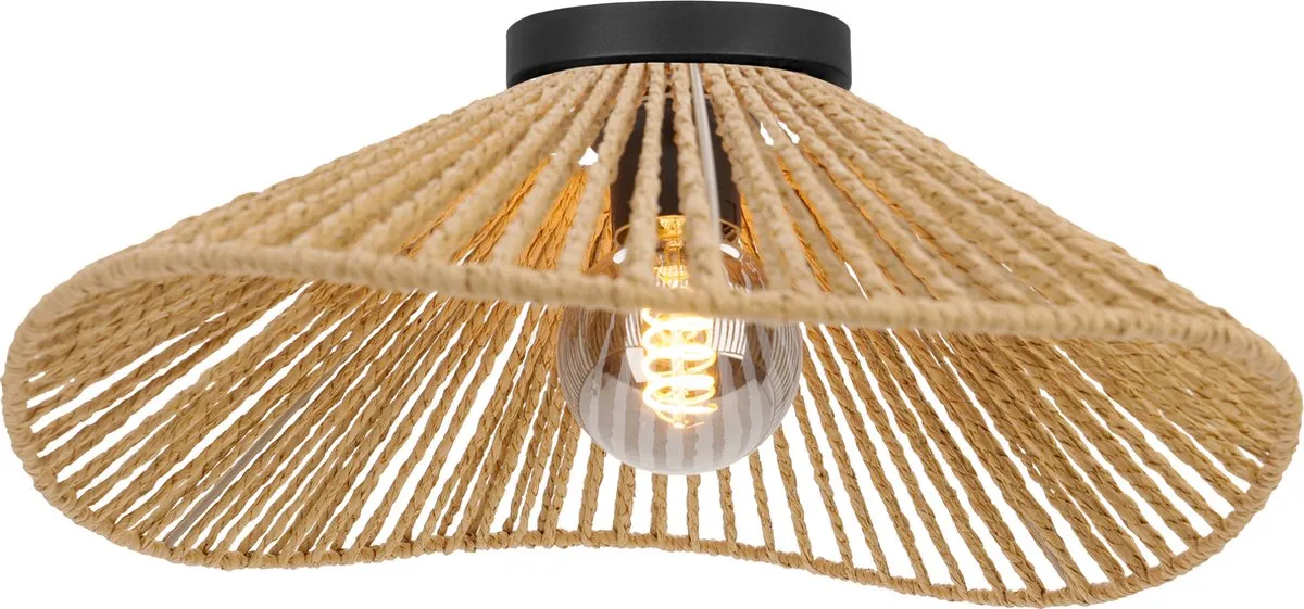 Eglo Lavister Plafondlamp E27