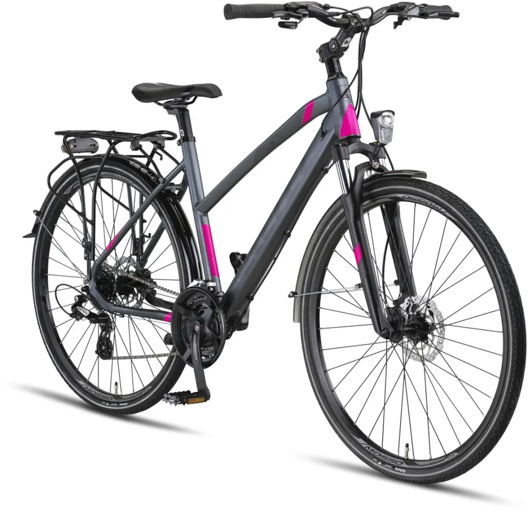 Altec Legarda Damesfiets 28" - 24V Hydraulische schijfrem - 49cm Antraciet - afbeelding 6 van 6