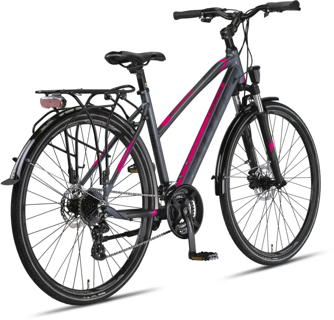 Altec Legarda Damesfiets 28" - 24V Hydraulische schijfrem - 49cm Antraciet