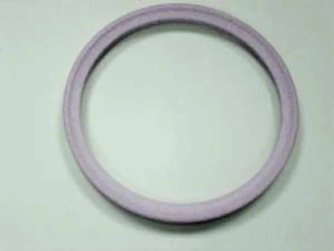 Remeha Afdichting DN 70 DPSM 7797919