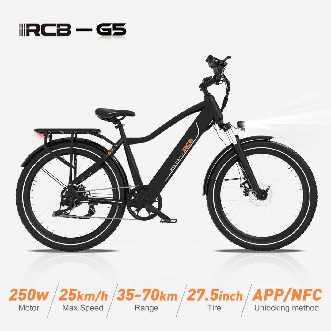 RCB G5 Elektrische Fiets 250W