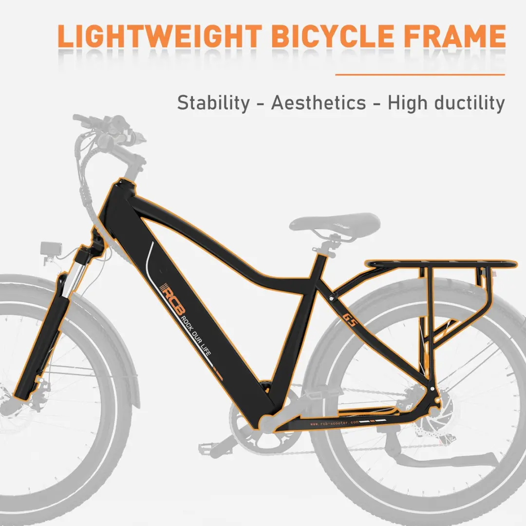 RCB G5 Elektrische Fiets 250W - 7 Versnellingen - 468Wh - Zwart