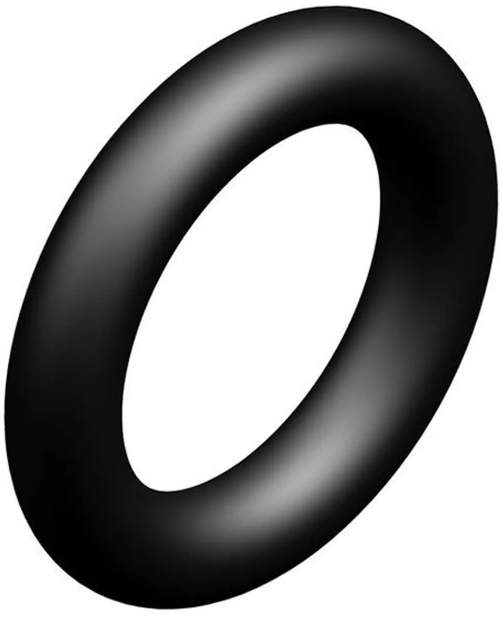 Bosch O-ring 7101534
