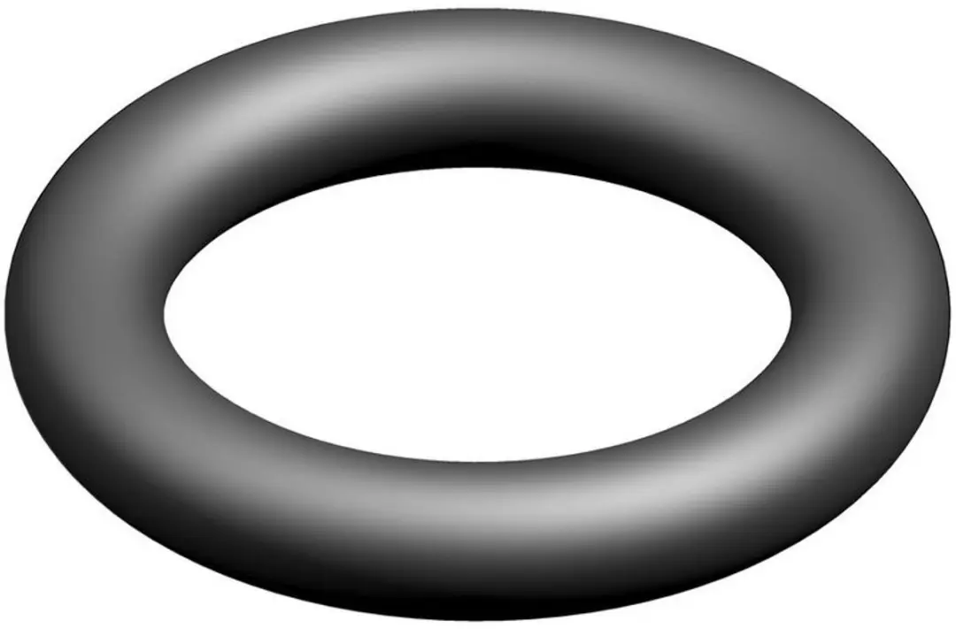 Bosch O-ring 10x