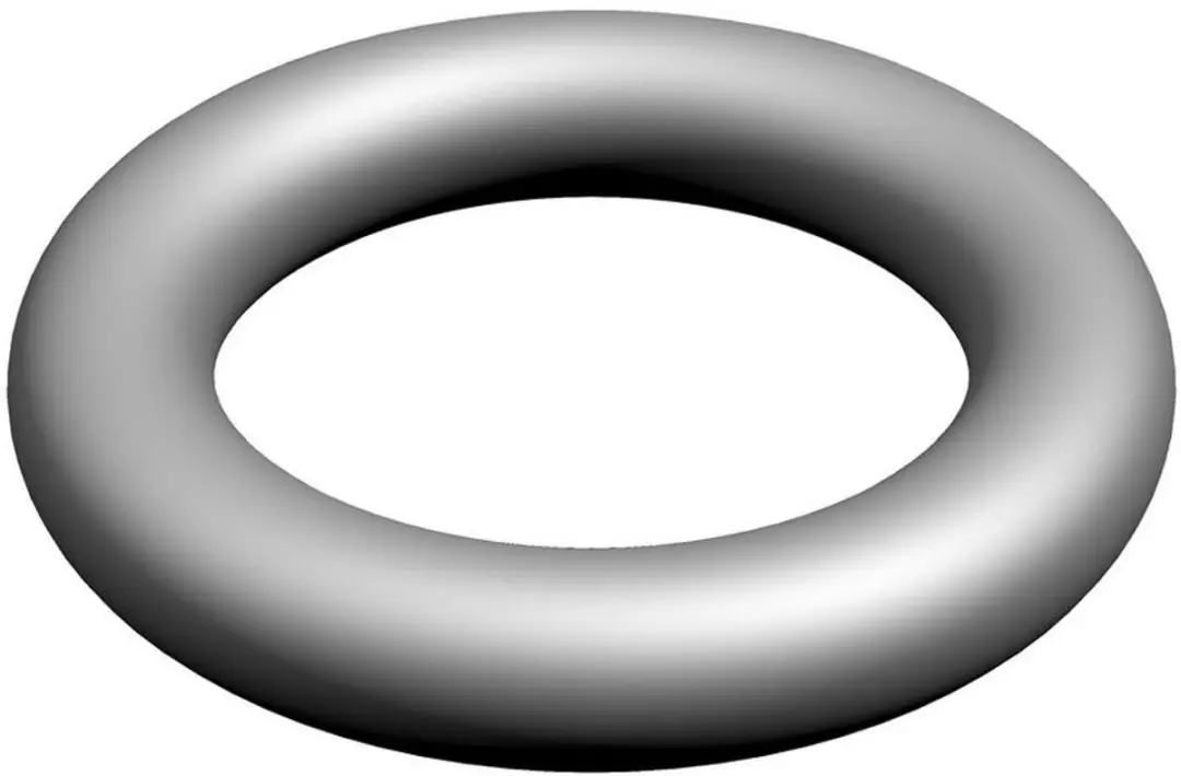 Bosch O-ring 10x