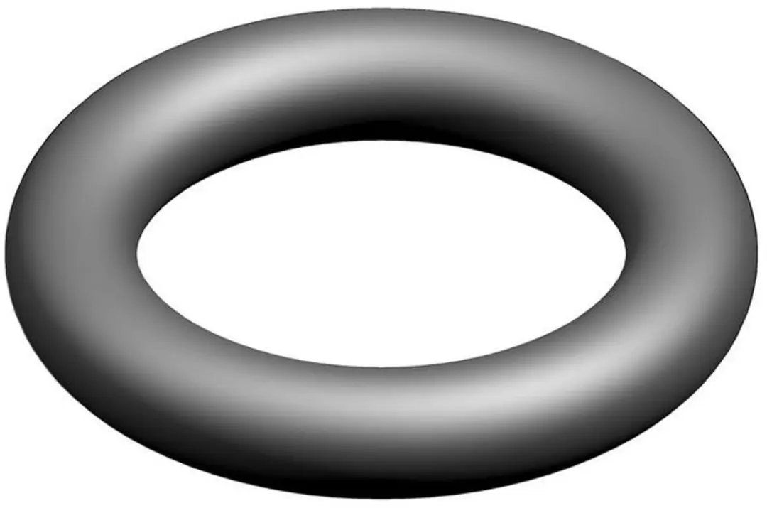Bosch O-Ring 87402050070
