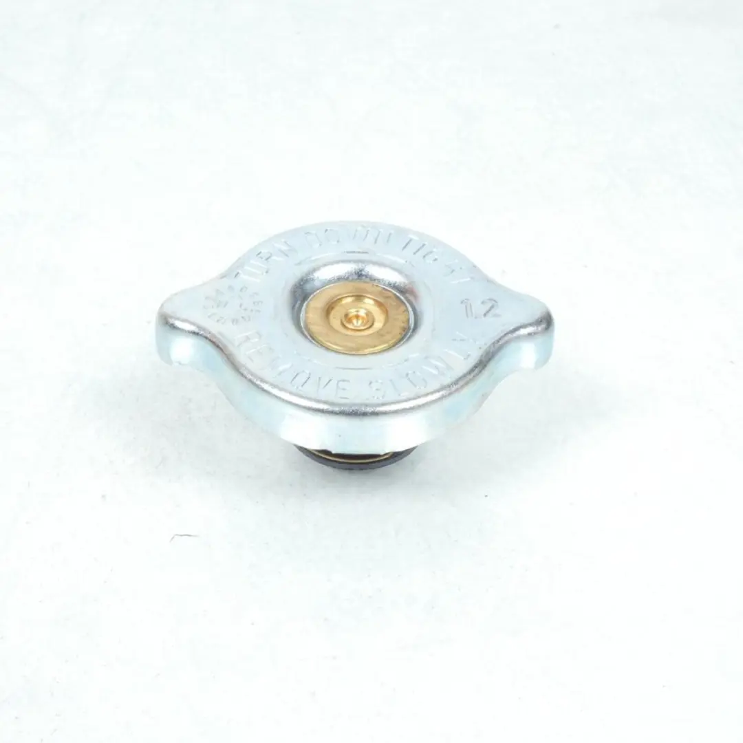 Yamaha 125 X-Max Radiatordop 5VKE24620000