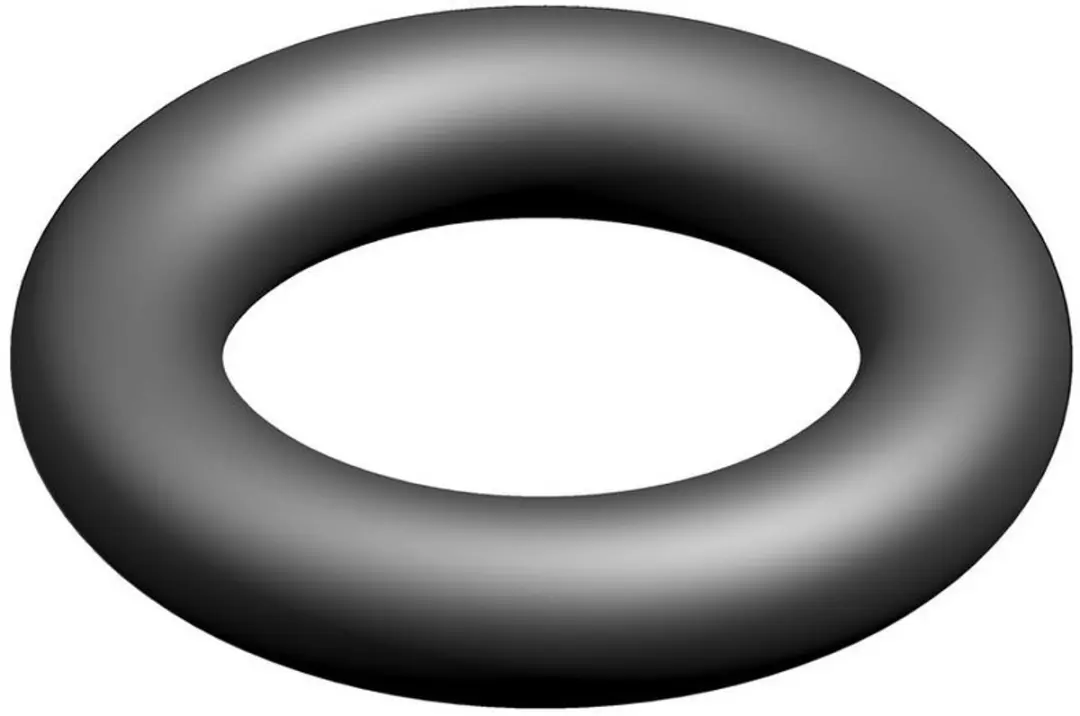 Bosch O-ring 10x