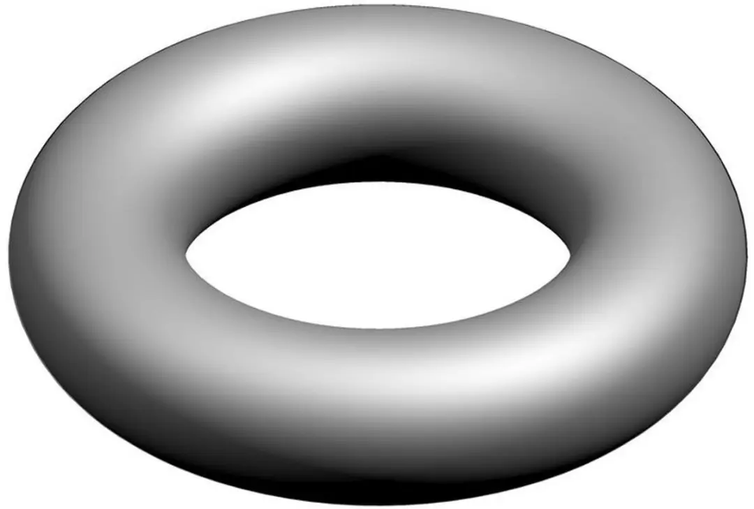 Bosch O-ring 87402050020