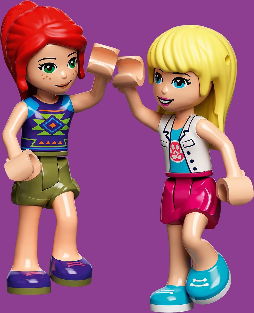 LEGO Friends Dierenkliniek reddingshelikopter