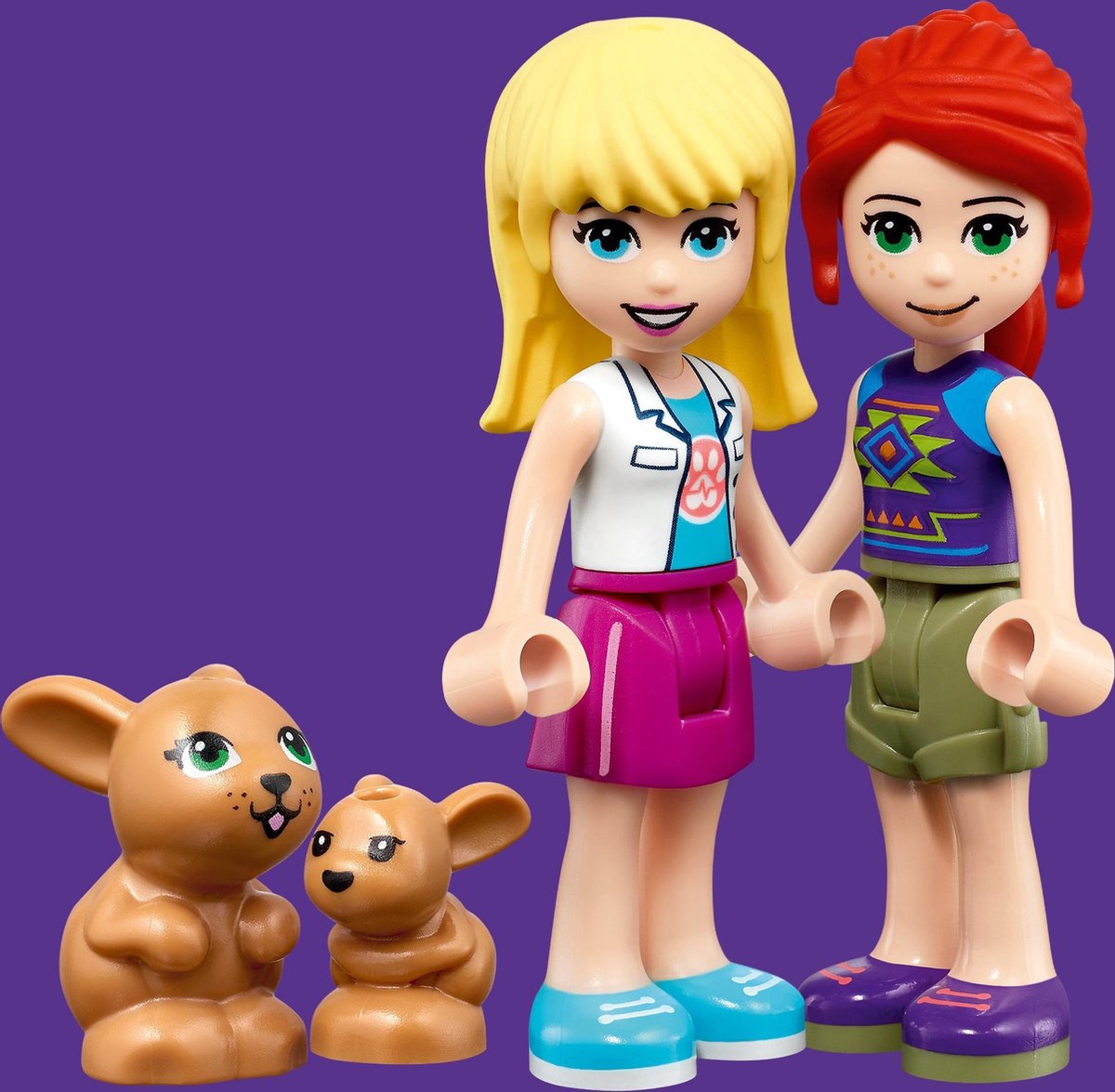 LEGO Friends Dierenkliniek reddingshelikopter