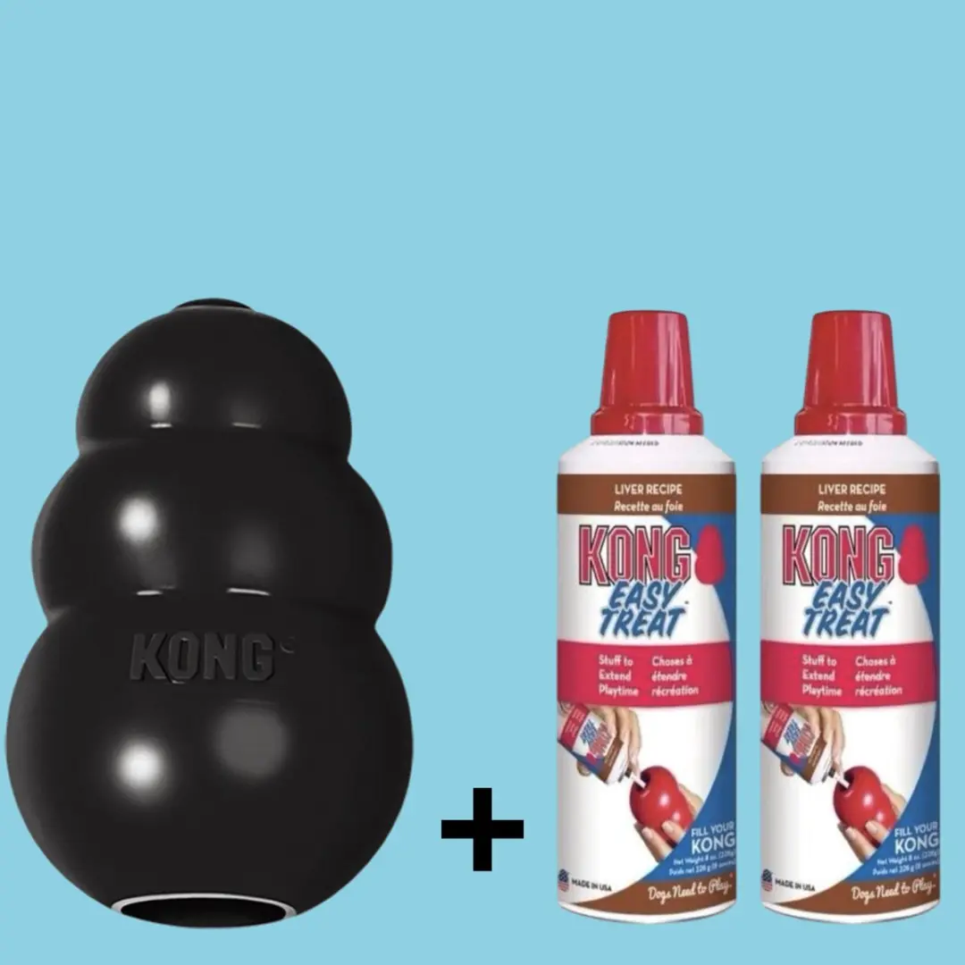 KONG Extreme Zwart M - 1 Stuk + 2x Easy Treat Vulling