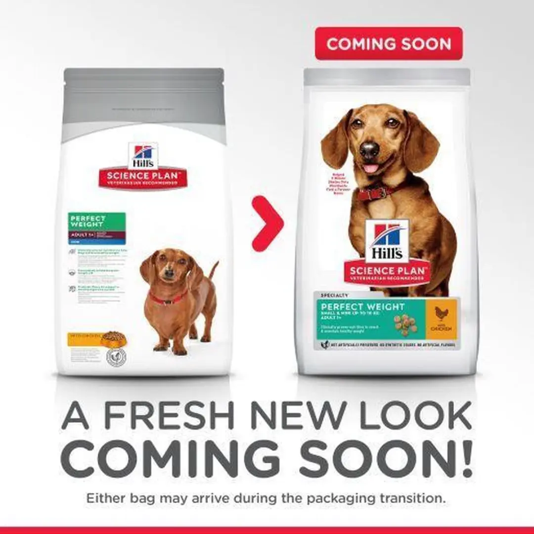 Hill's Canine Adult Perfect Weight Small & Mini Kip 6kg