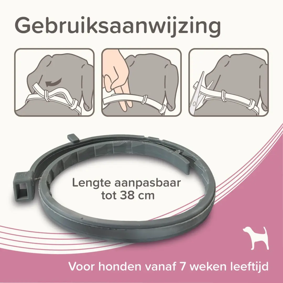 Beaphar Medicinale Halsband Hond tot 8 kg - 8 Maanden