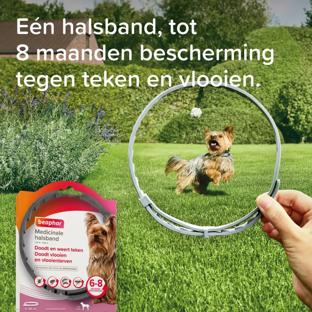 Beaphar Medicinale Halsband Hond tot 8 kg - 8 Maanden