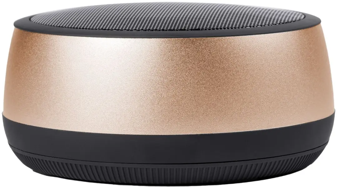 Hugo Boss Luidspreker Gear Luxe - Champagne