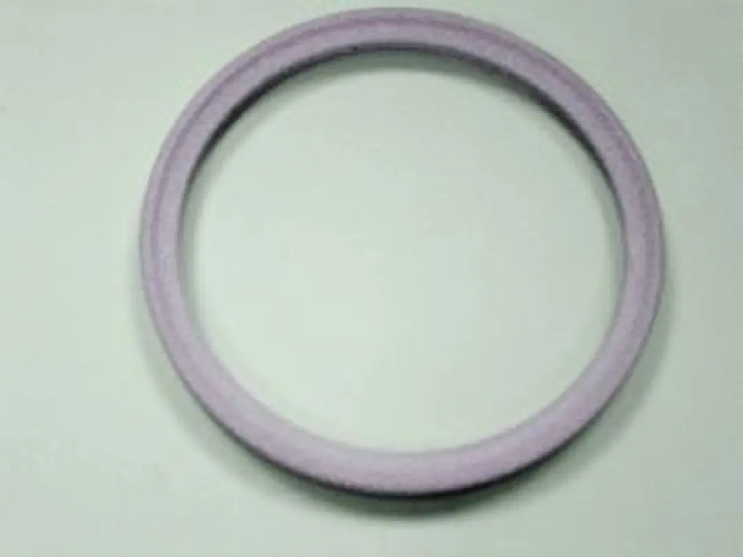 Remeha Lipafdichting D.80 97930071