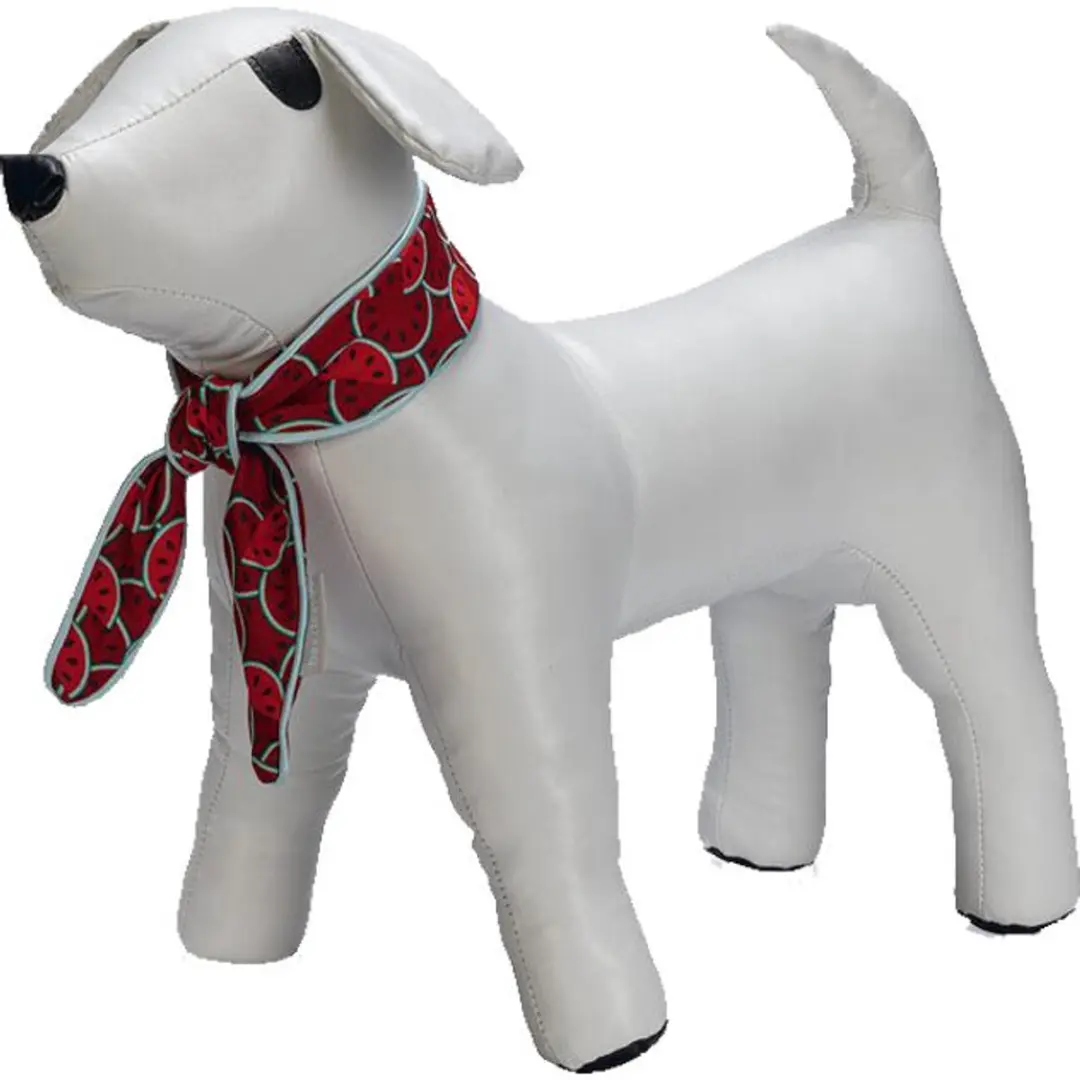 Beeztees Quick Cooler Meloenie Hondenhalsband - Rood S