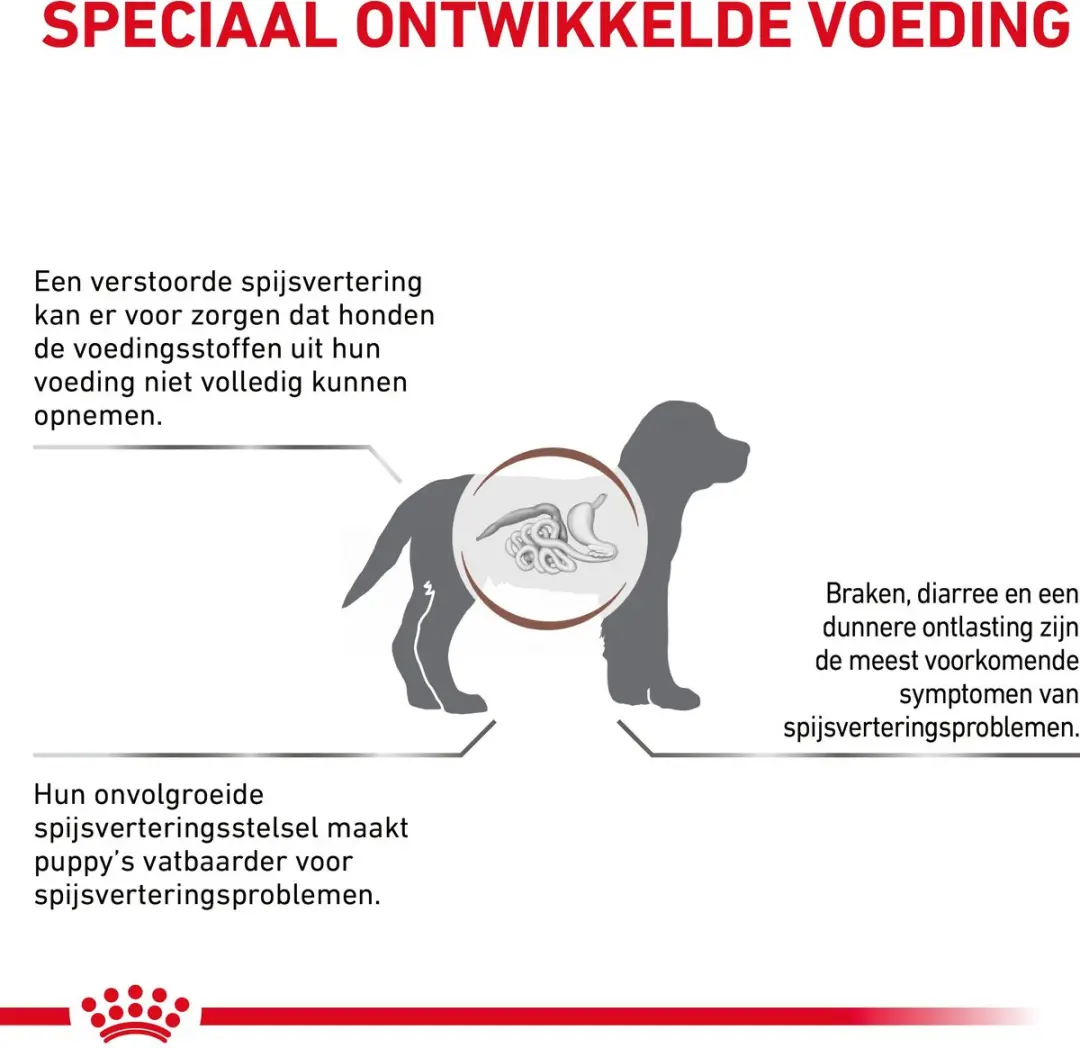 Royal Canin Veterinary Diet Gastro Intestinal Junior Hondenvoer 1kg