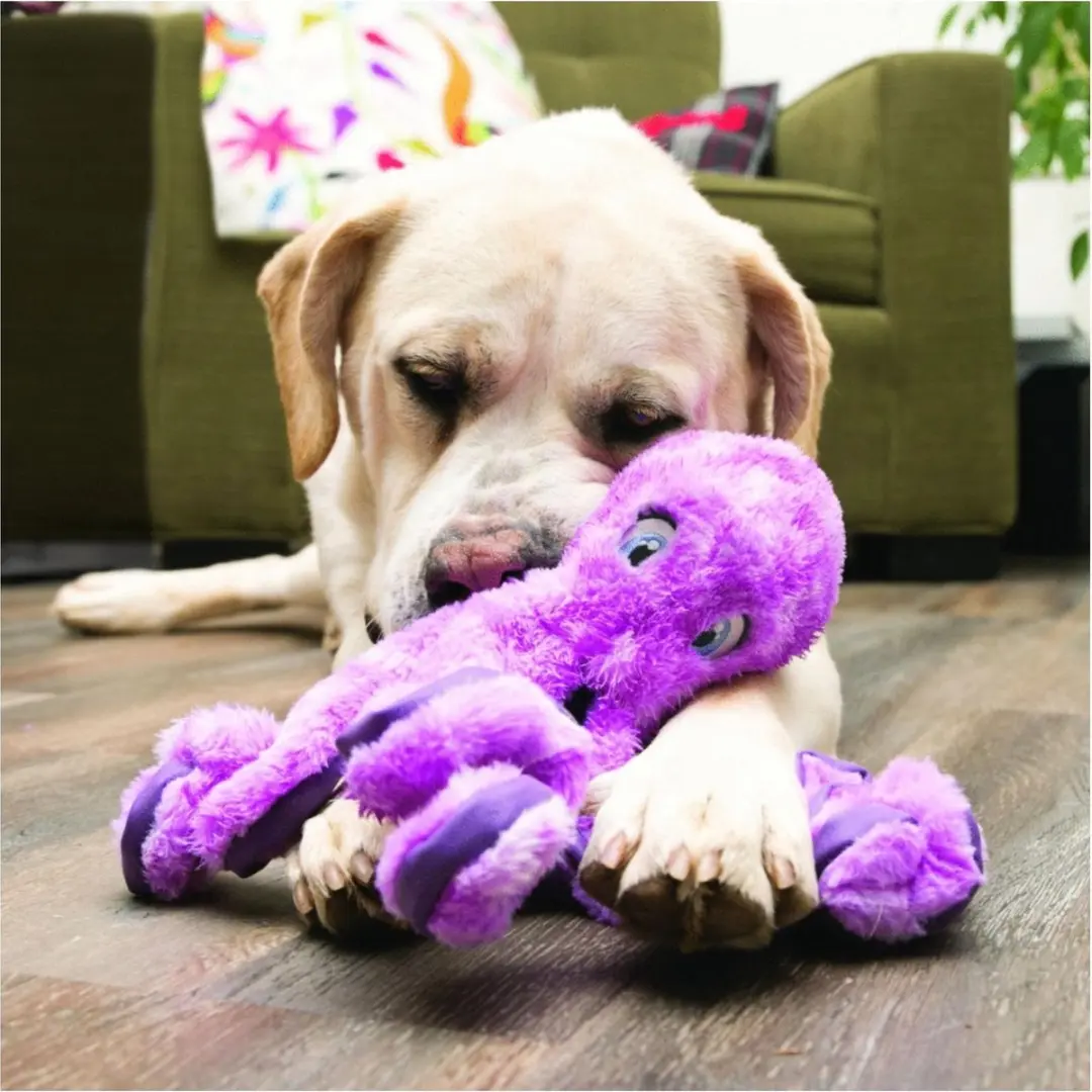 KONG Soft Seas Octopus - Paars - Small