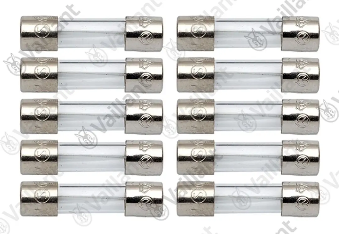 Vaillant Zekering VC 110 E 0,16A