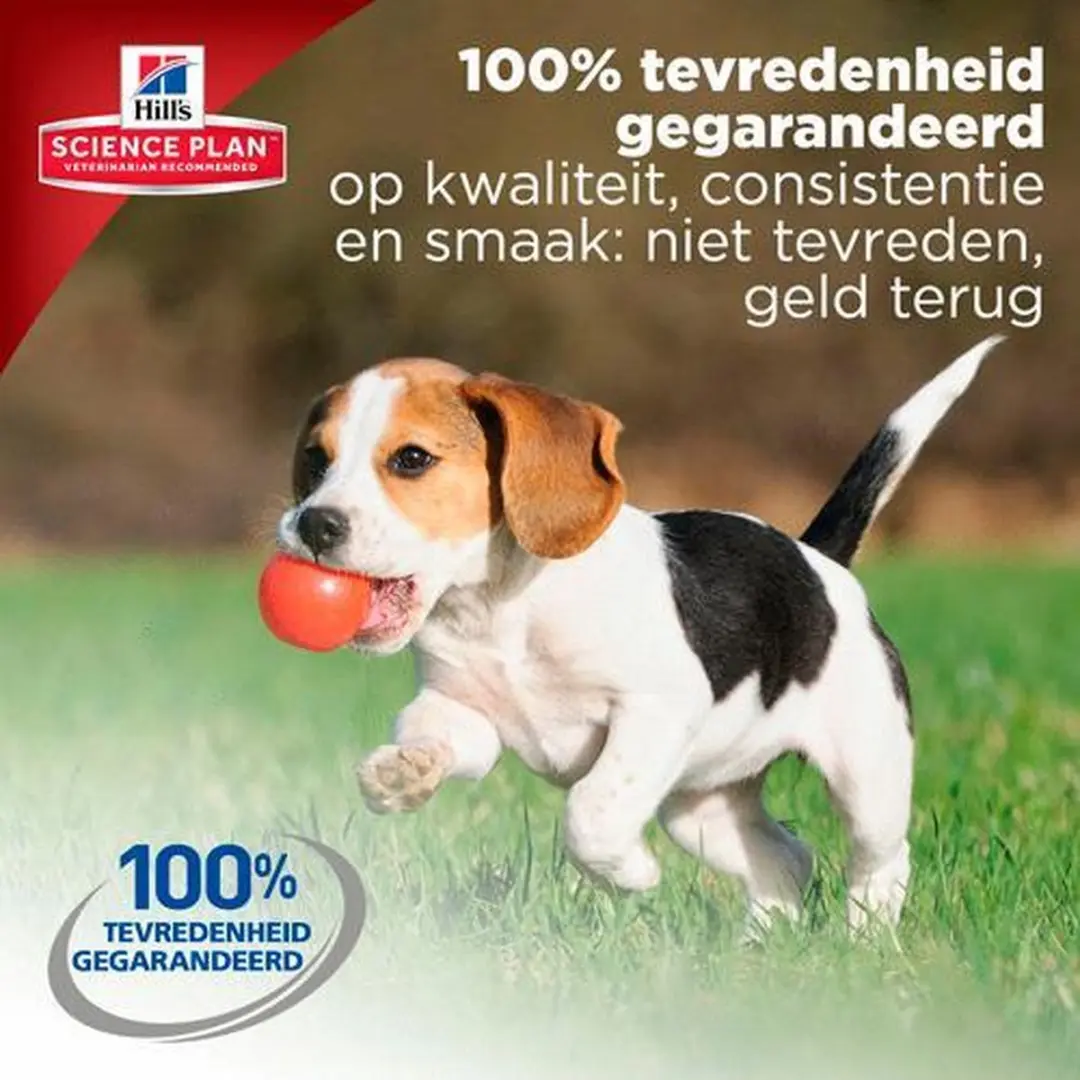 Hill's Science Plan Puppy Kip - 12 x 370g - afbeelding 3 van 6