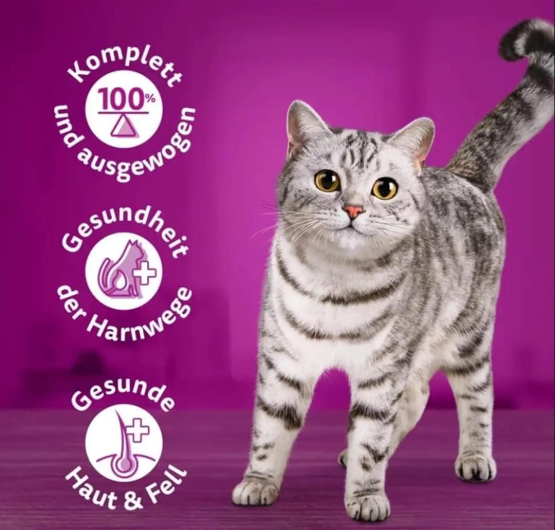Whiskas Volwassen Eendenvoer in Gelei 400g - afbeelding 5 van 6