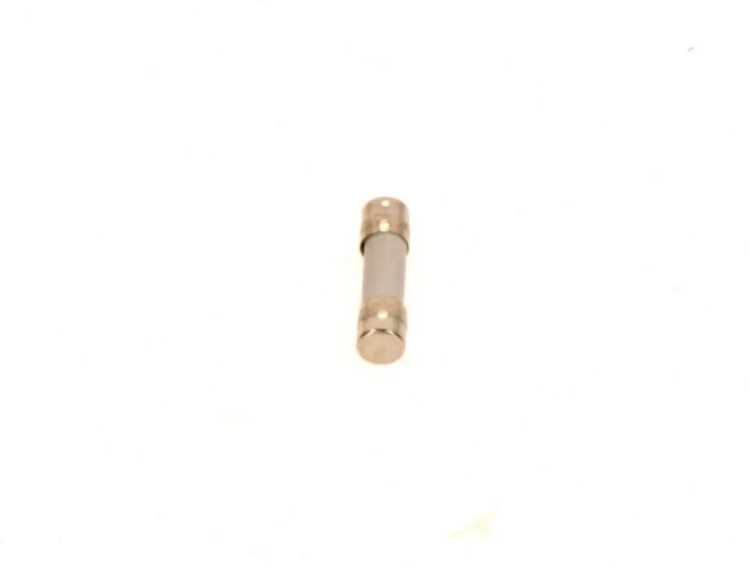 Bosch Zekeringinzet IEC127-2/3 T5,0 (10x)