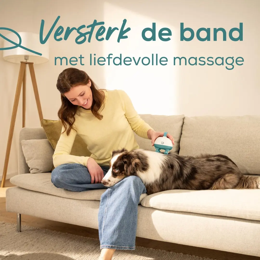 Beurer Buddy Massageapparaat - Honden/Katten Blauw - afbeelding 6 van 6