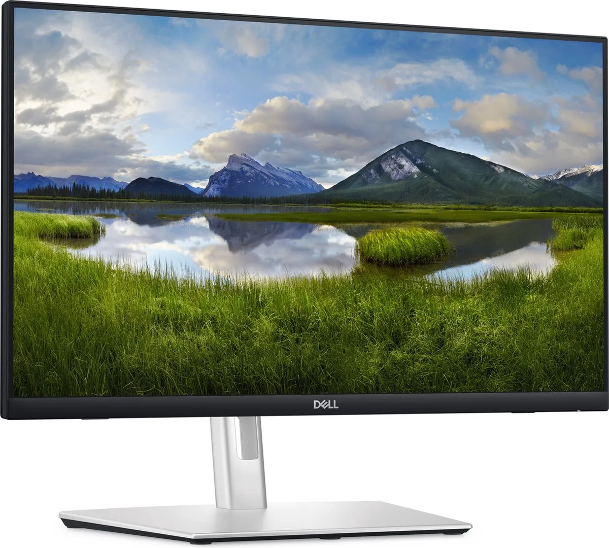 Dell P2424HT LED-Monitor - 24" - USB-C 65W