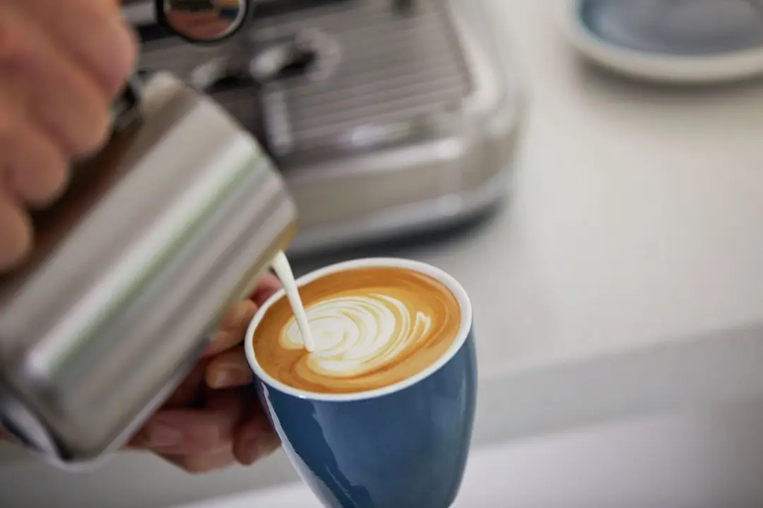 Sage Barista Pro SES878BSS Espressomachine - Thermojet - 2 Kopjes