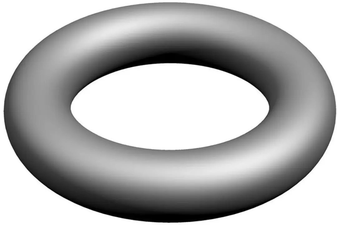 Bosch O-ring 10x
