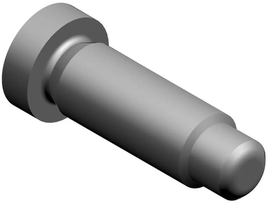 Bosch Schroef 10x