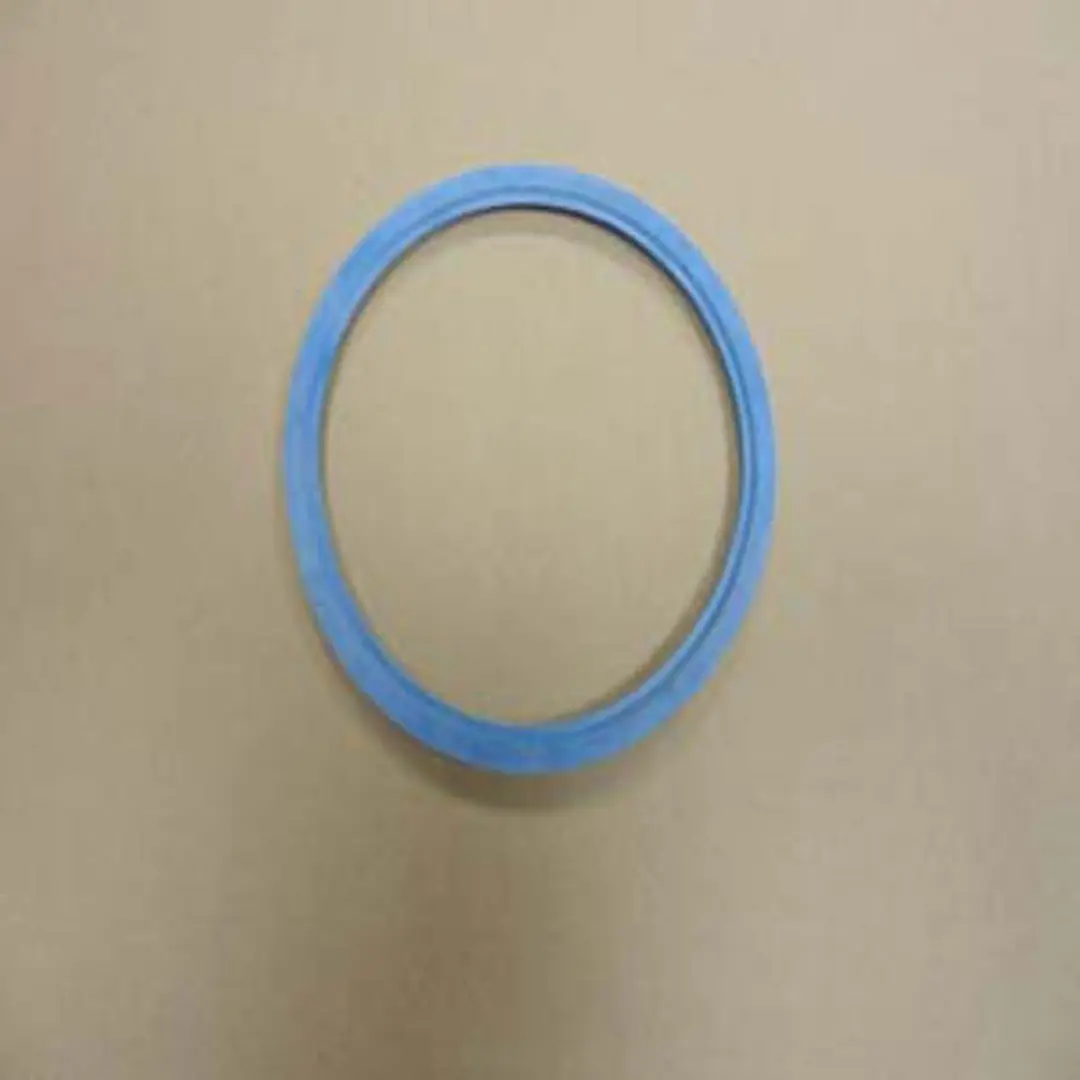 Remeha O-Ring Dichting D150mm