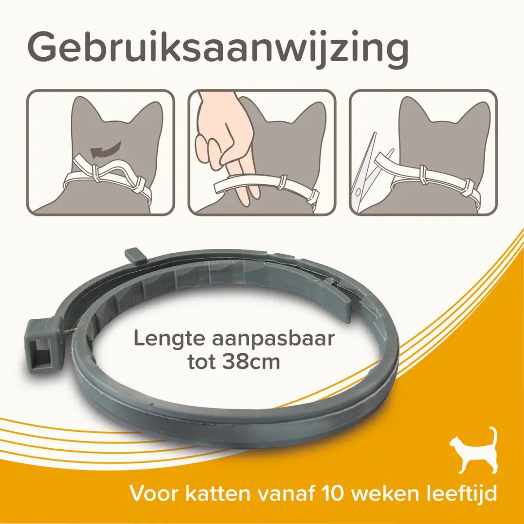 Beaphar Medicinale Halsband Kat - tot 8 maanden