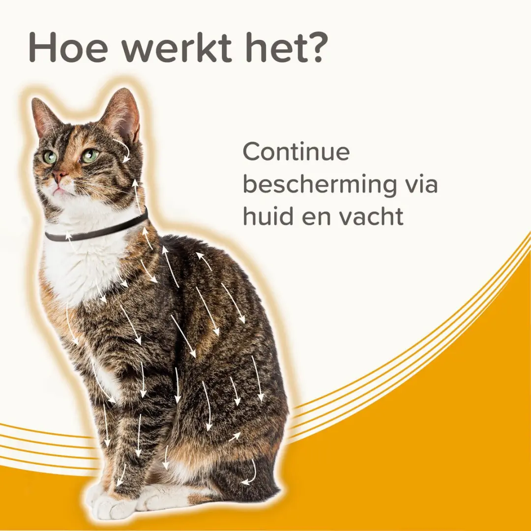 Beaphar Medicinale Halsband Kat - tot 8 maanden