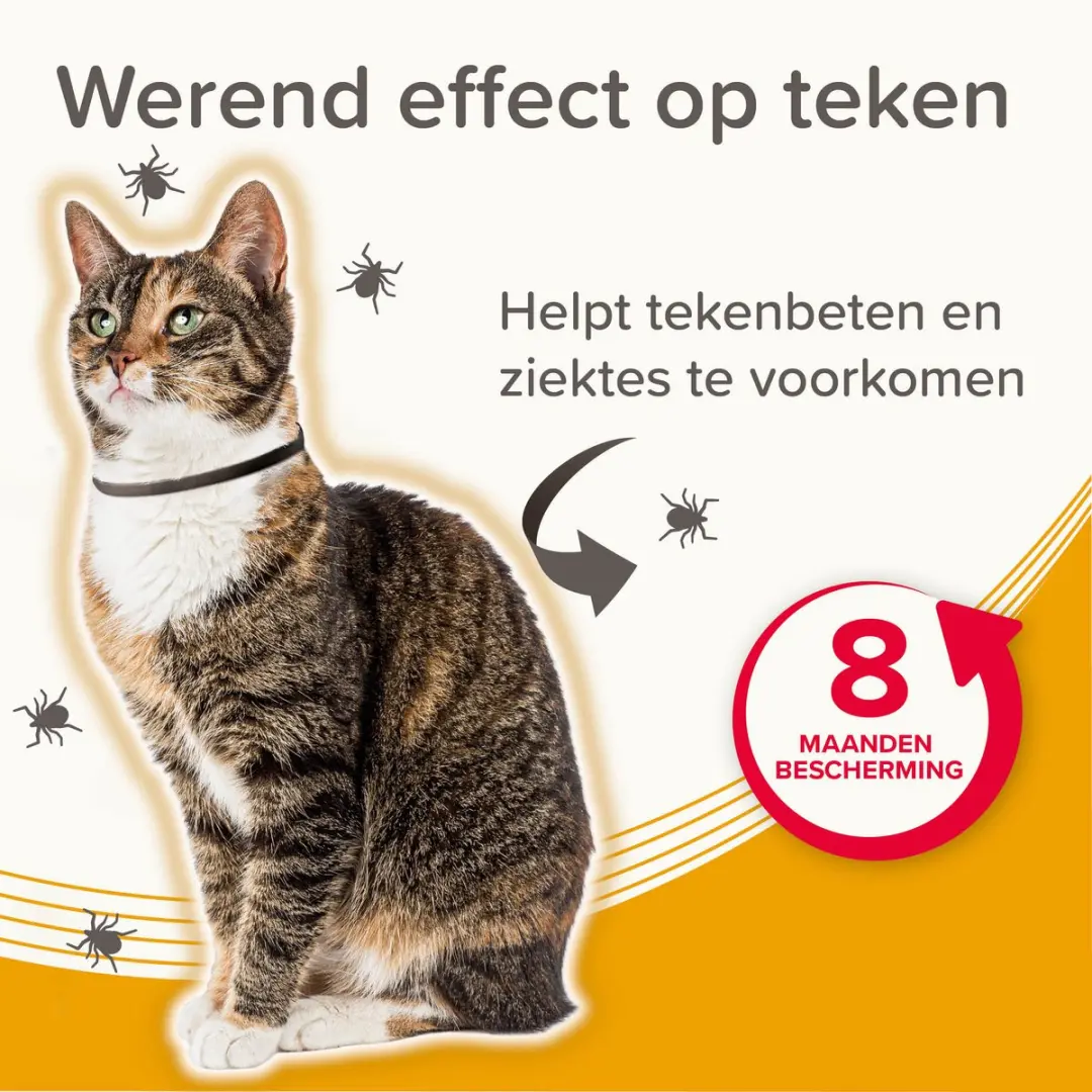 Beaphar Medicinale Halsband Kat - tot 8 maanden