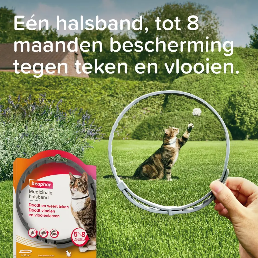 Beaphar Medicinale Halsband Kat - tot 8 maanden - afbeelding 6 van 6