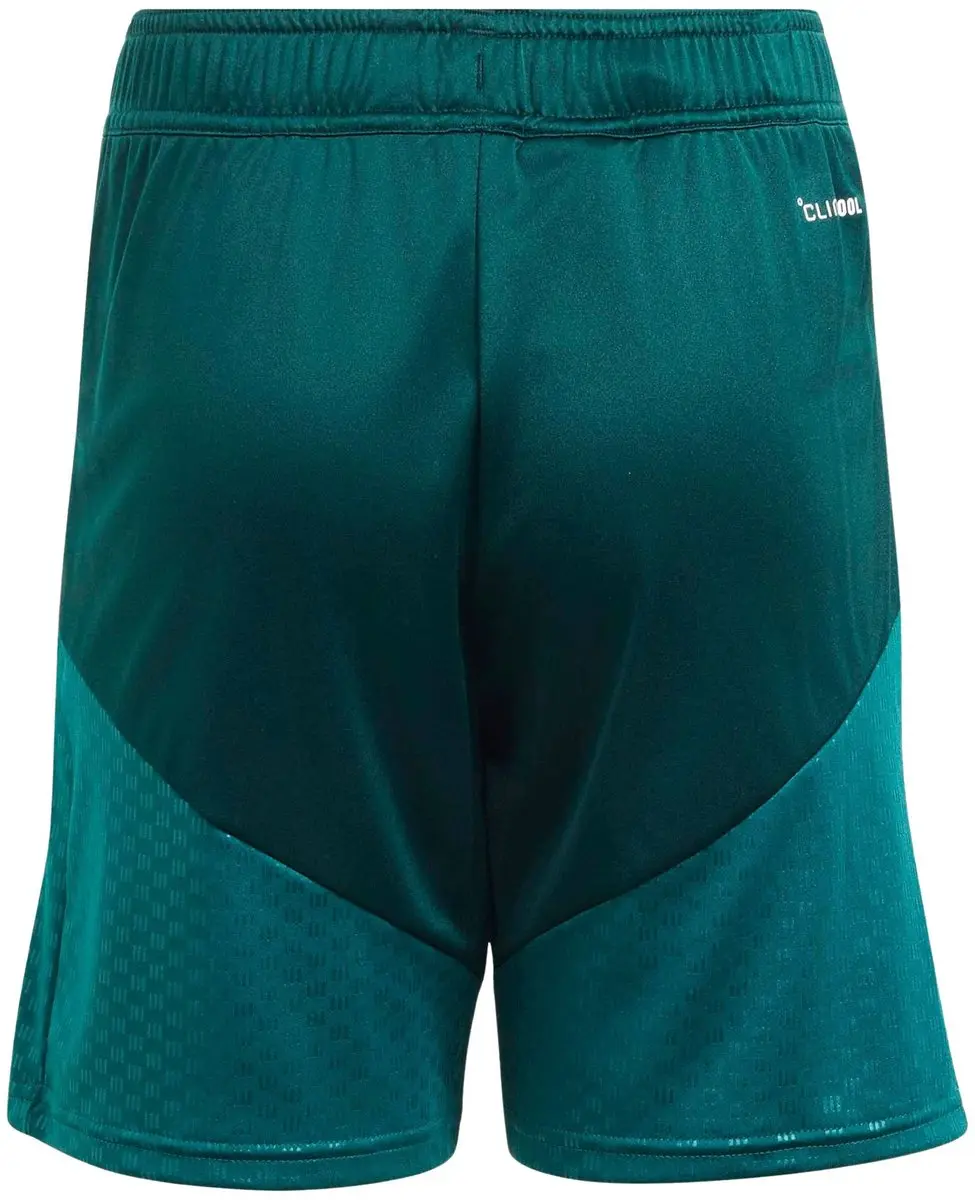 Adidas Real Madrid Training Short 116 - KB6336 - Groen/Blauw/Roz