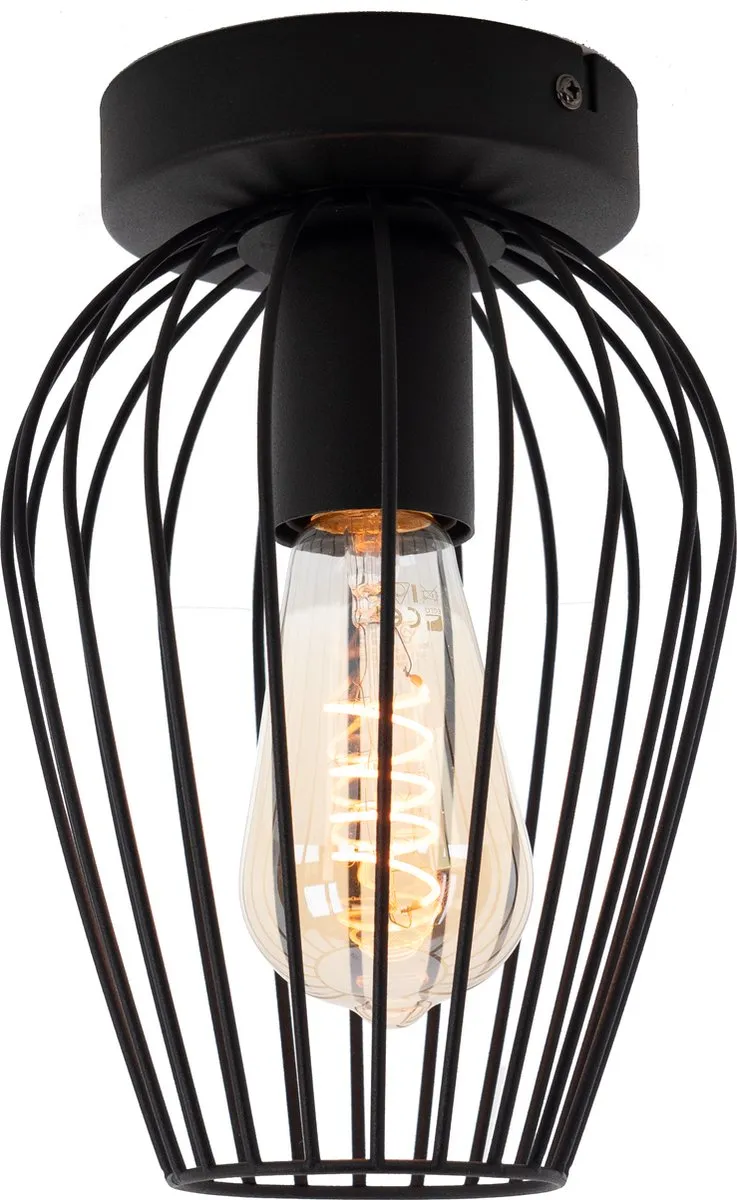 Eglo Newtown Plafondlamp E27