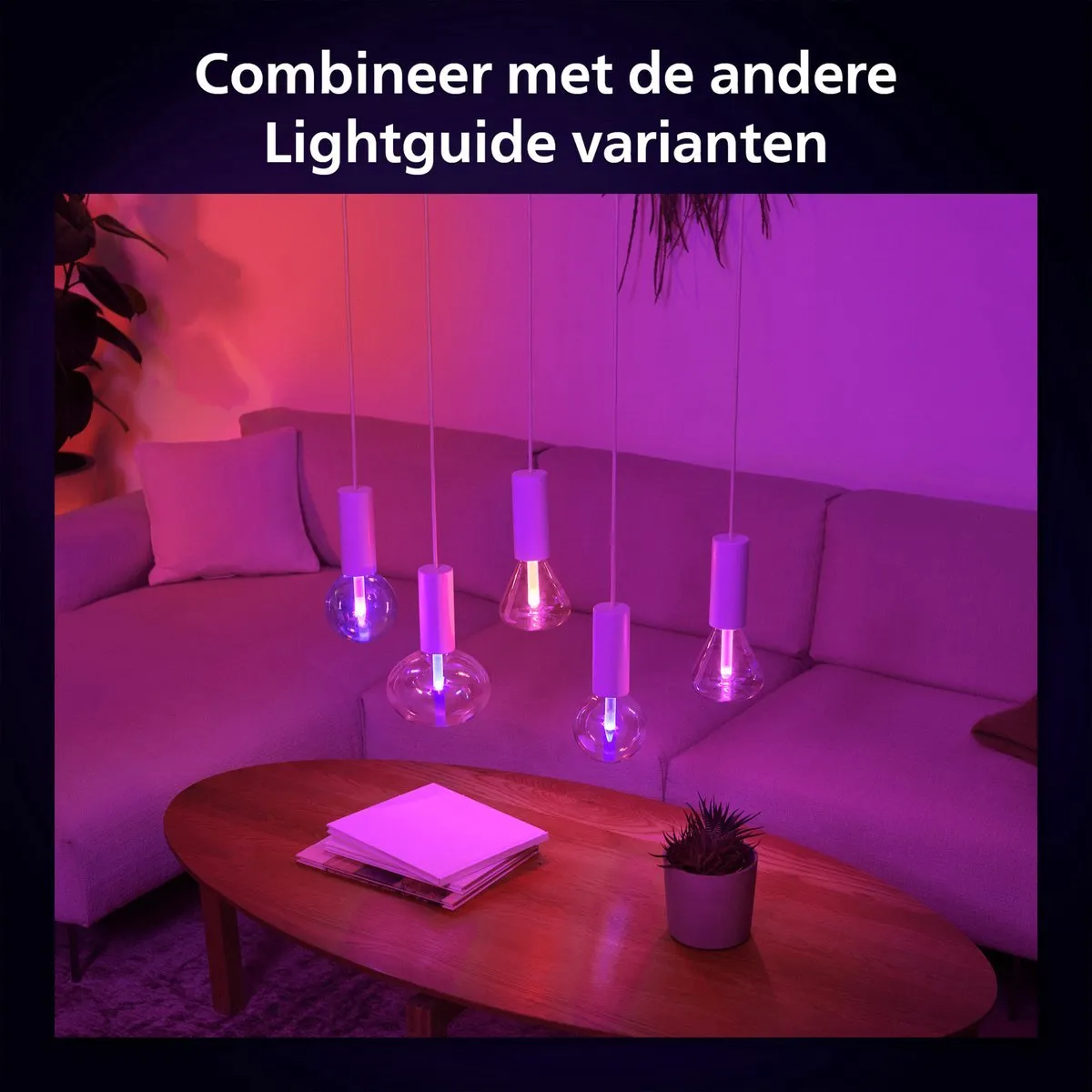 Philips Hue Lightguide 3D-geprinte Tafellamp - E27 - Wit & Kleur Licht - Zwart