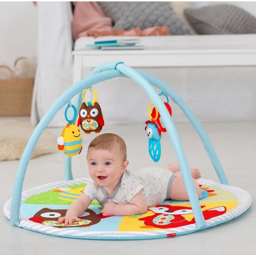 Skip Hop Explore & More Activity Gym - 4 Speelelementen